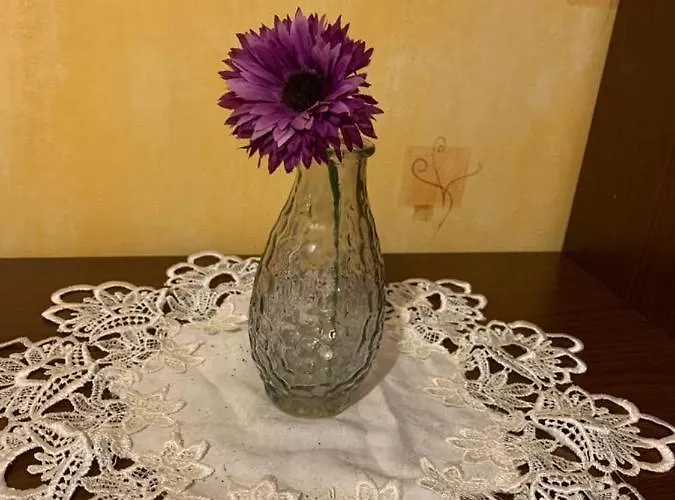 Хостел Mpark Slask